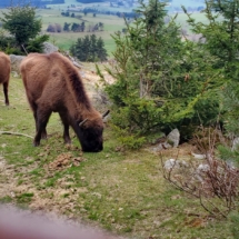 Lozère-011