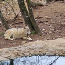 Lozère-016